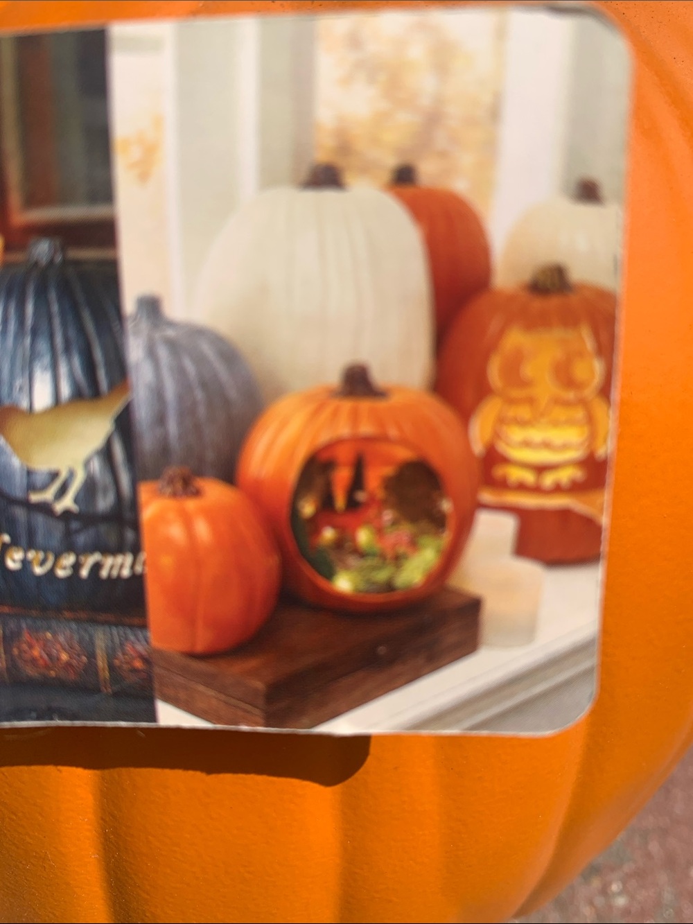 🆕- Ashland Orange Craft Faux Pumpkin with Distressed Gold Stem - Picture 6 of 6